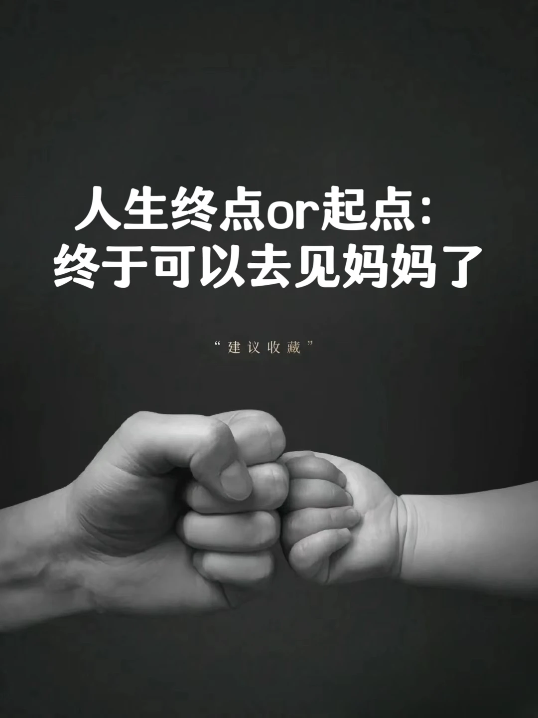 今天看到一个文案泪奔了❗❗❗