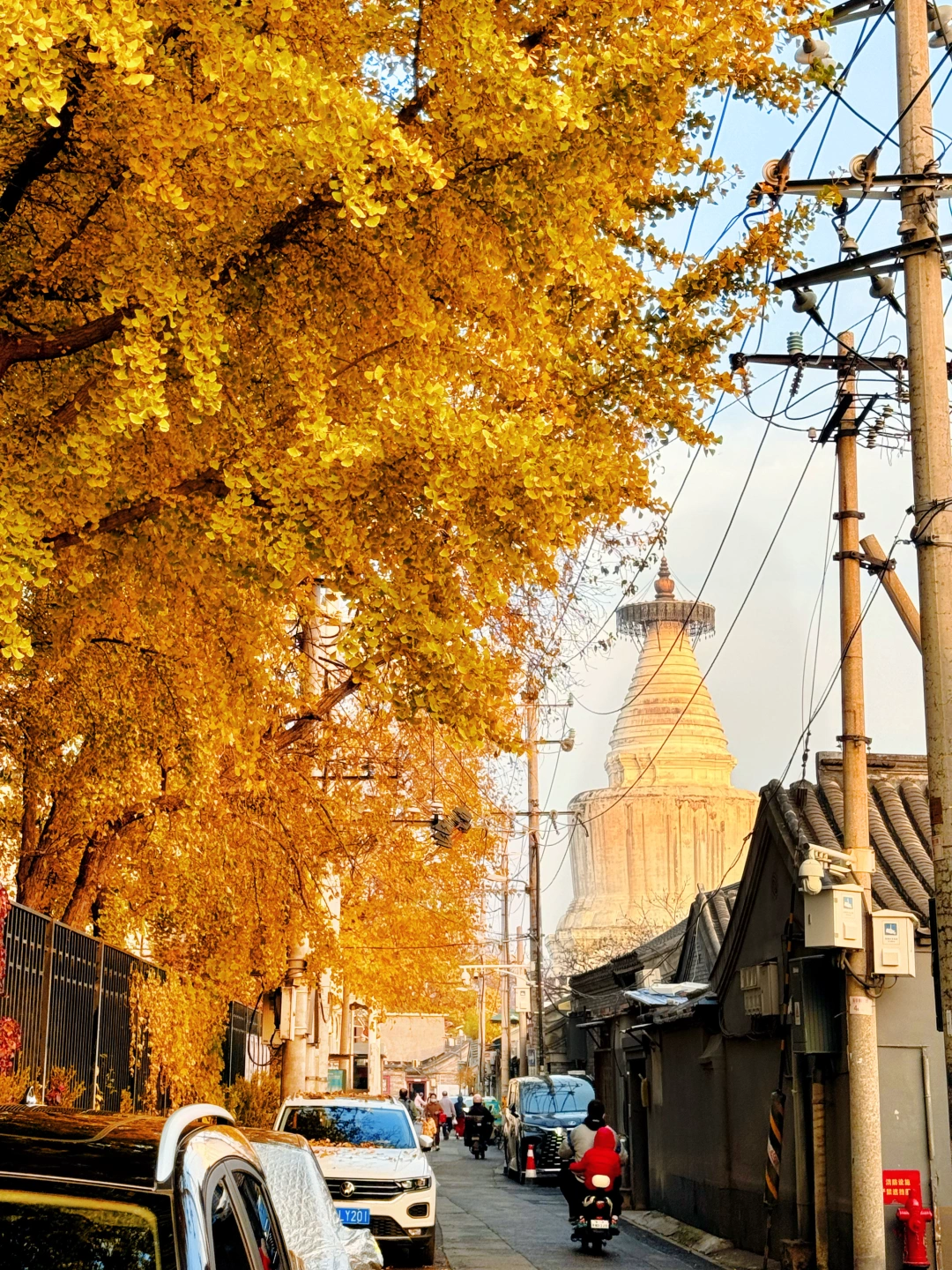 秋日散步美学🍂这些地方让你爱上北平的秋