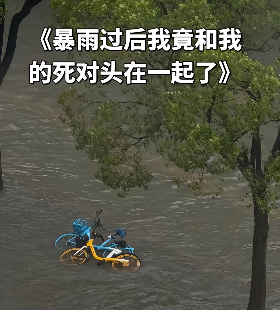 张晚意:我们是倒在一起，不是在一起了。