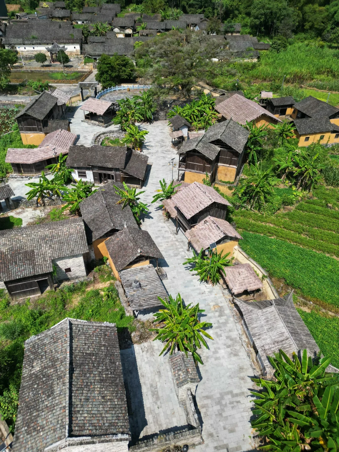 广西人都喜欢藏着玩的吗？