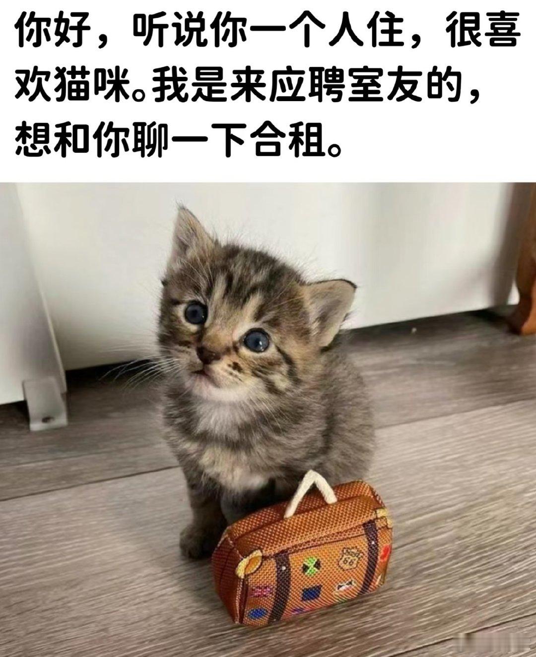我觉得，找室友比找工作更该反向背调。  TA说自己是个好相处的人。  ...