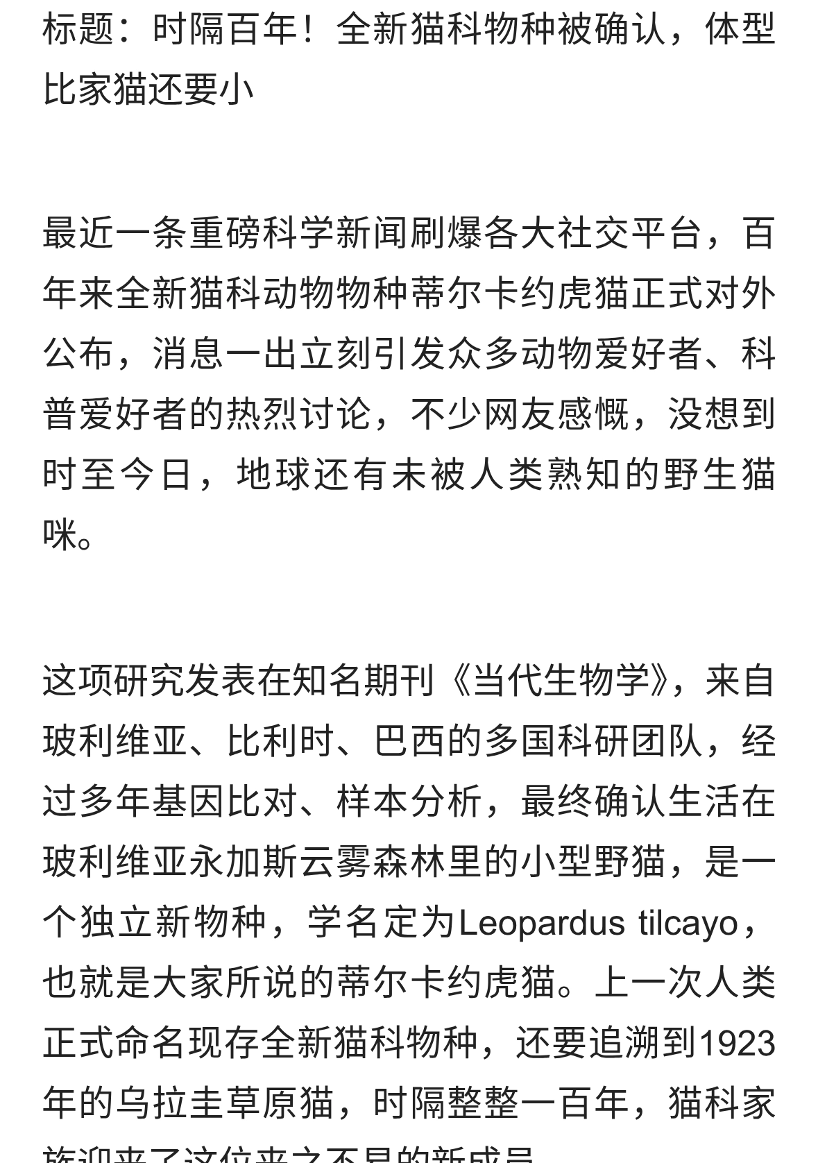 时隔百年！全新猫种物种被确认，体型比家猫还要小。