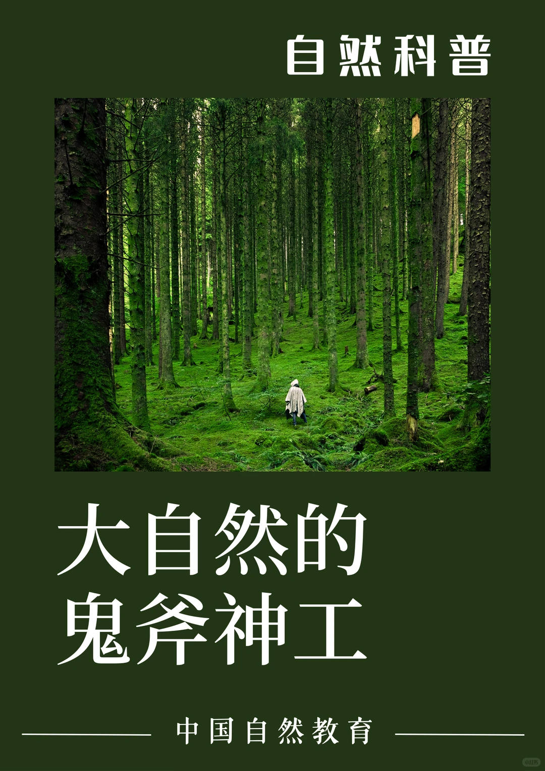 科普知识｜大自然的鬼斧神工