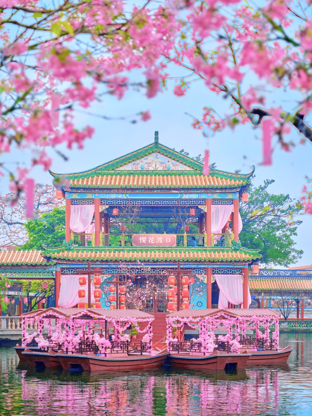 实不相瞒🌸接下来广州的古风樱花将美到犯规