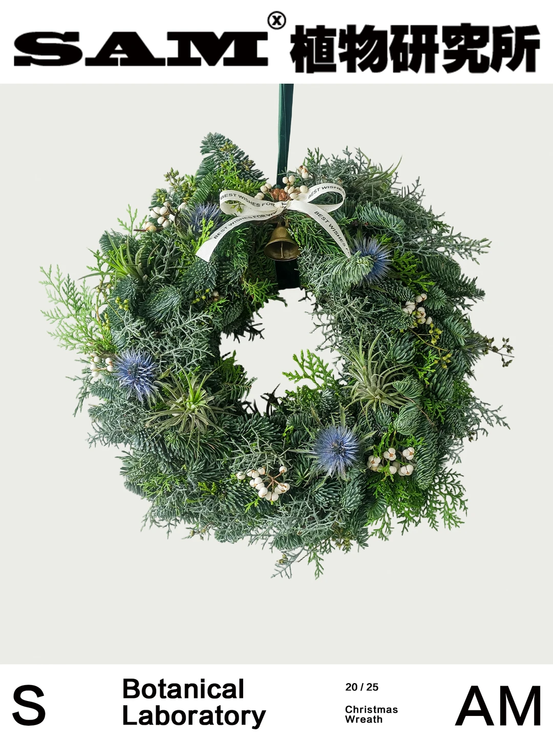 自然系诺贝松圣诞花环｜Abies Procera