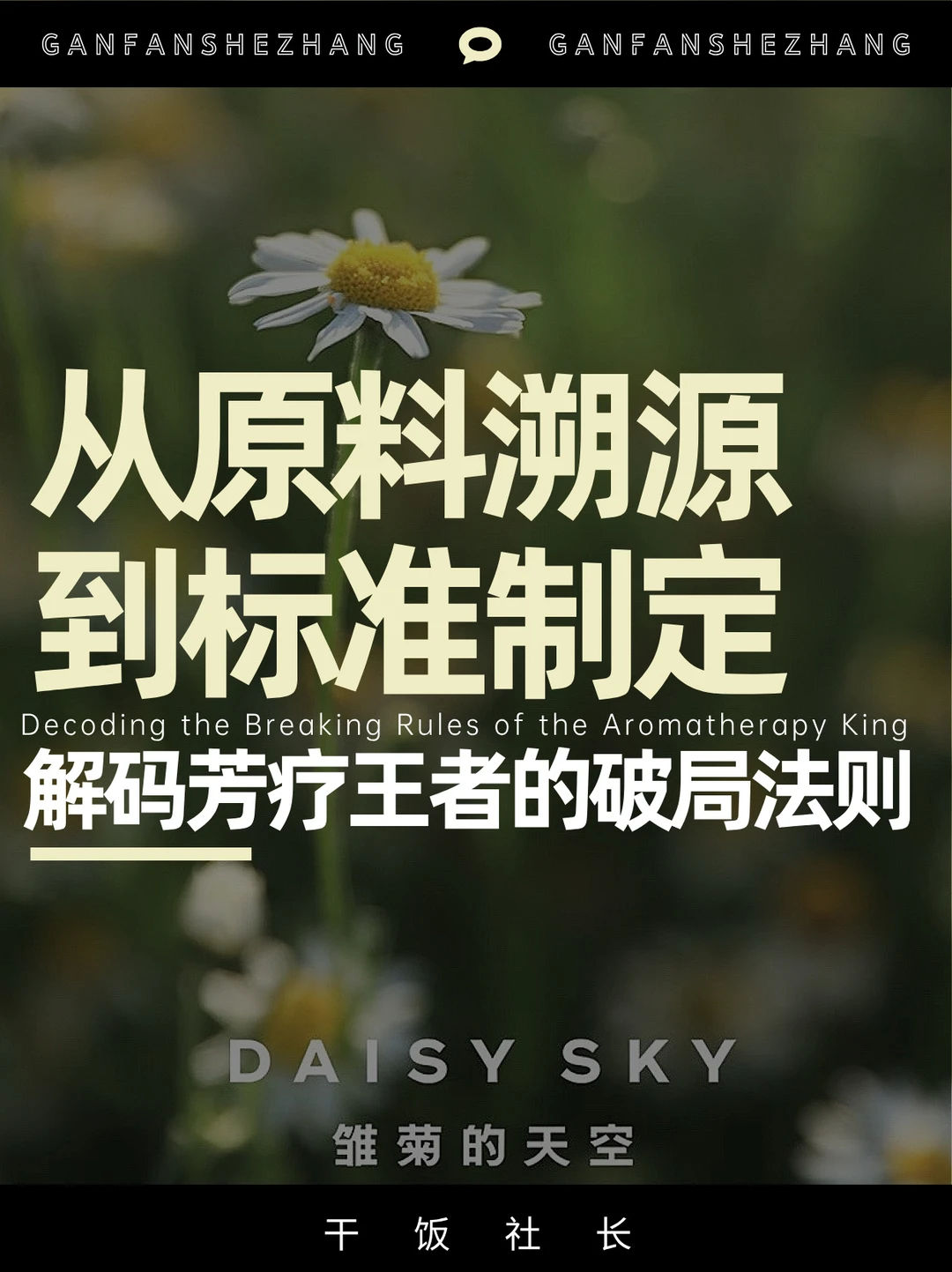 从小众到标杆，雏菊的天空凭何成标准制定者