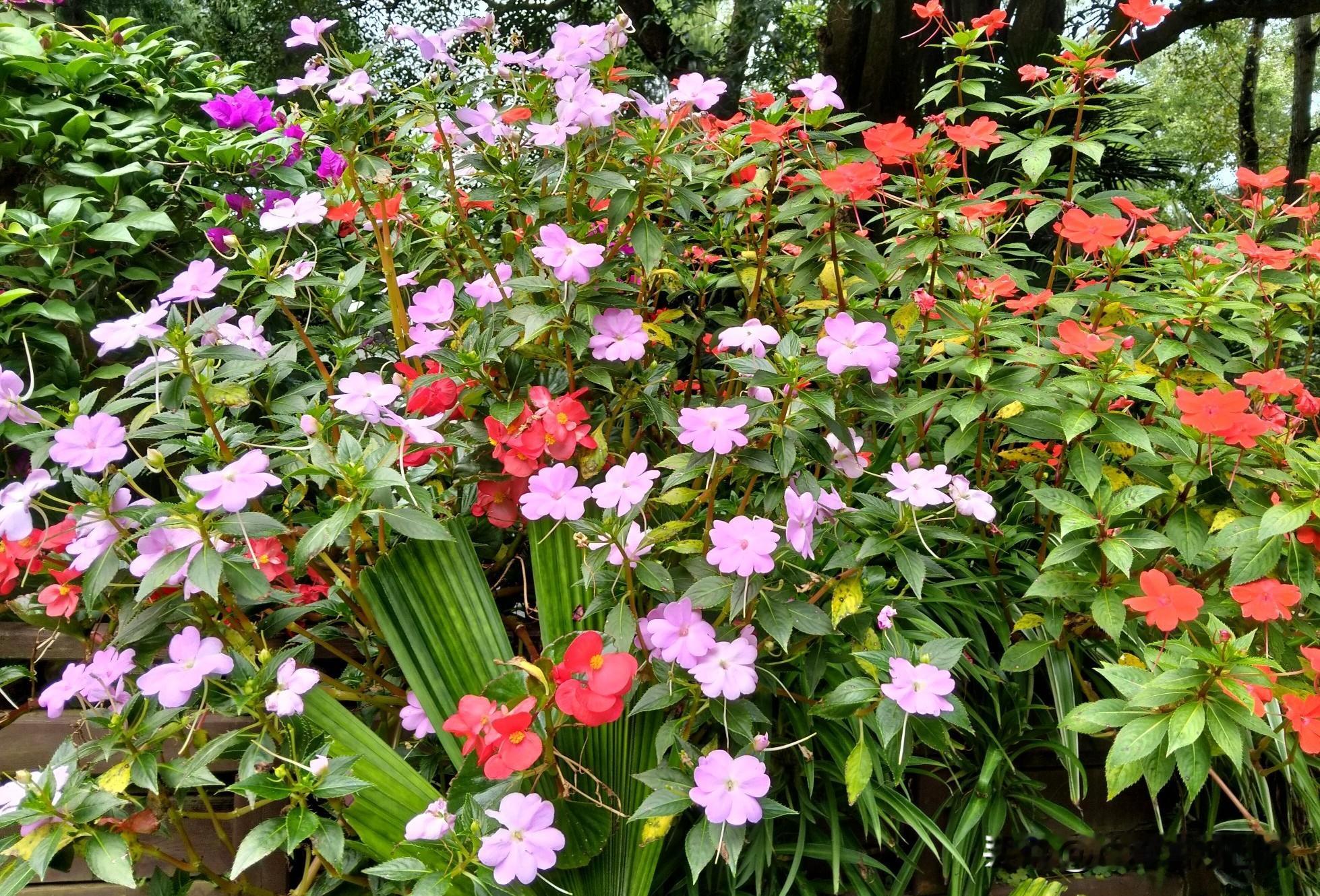 小姐姐不仅漂亮而且气质优雅，同时她的微微一笑也很迷人。总体评估得分98分。