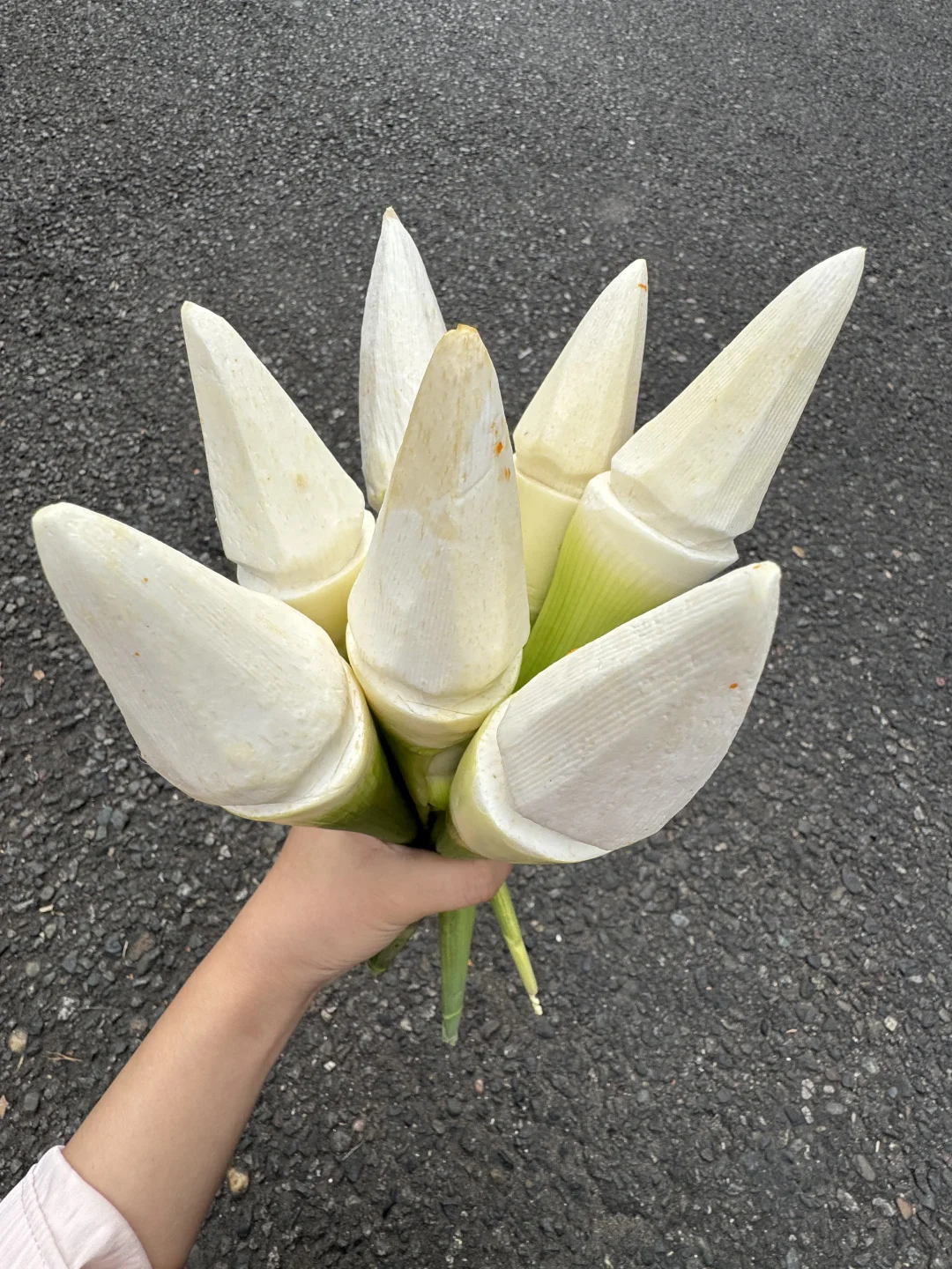 成都这个叫啥？？？？好吃s了啊。。。。。。