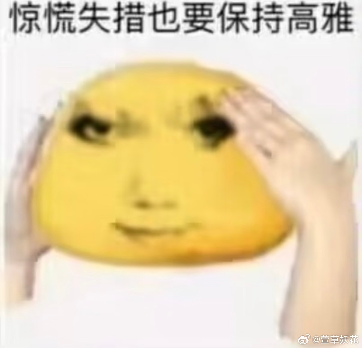 基友突然来找我，让我一起去申副高，说申请上了可以给孩子择校。我一听兴趣来了，打开今年申请群（今年因为太忙了没申请）。结果她说：“不行，那也只是个 e 类人才。但是如果是茅盾奖、四川文学奖，那是可以的！草哥，实在不行你拿个茅盾奖，四川文学奖也可以的。”我：“………🌚🌚🌚。。这个和【草哥，实在不行你买个别墅吧】有异曲同工之妙。”要不还是买学区房吧，比拿奖容易点