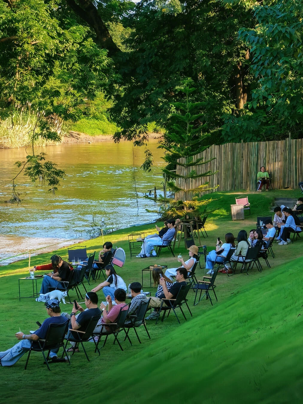 清迈🍃个人很喜欢很chill的8⃣️家漂亮咖啡馆