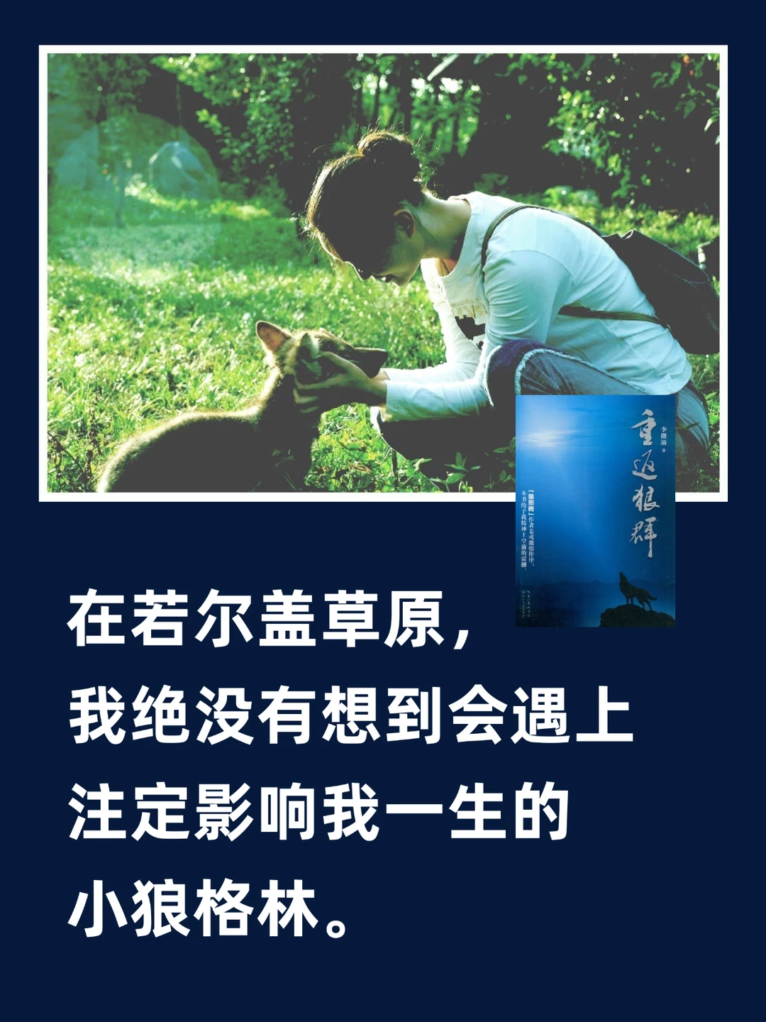 “狼女”李微漪：真正的作家是小狼！