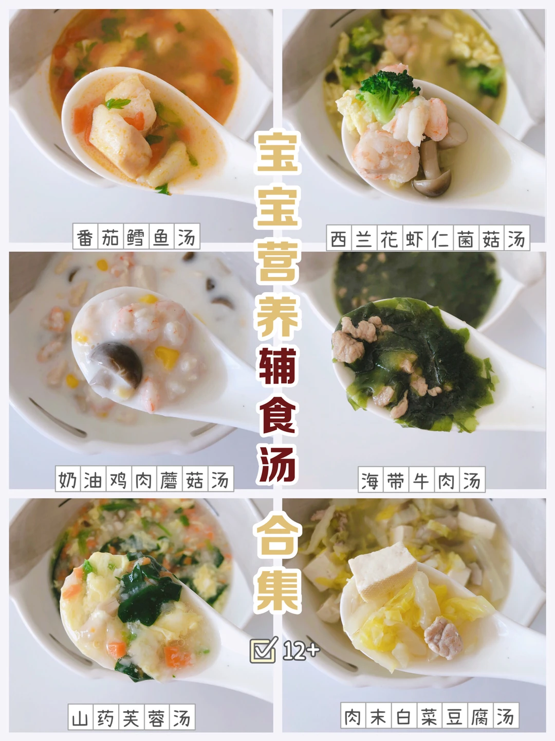 12+ 宝宝辅食汤｜补钙补铁好营养❗️