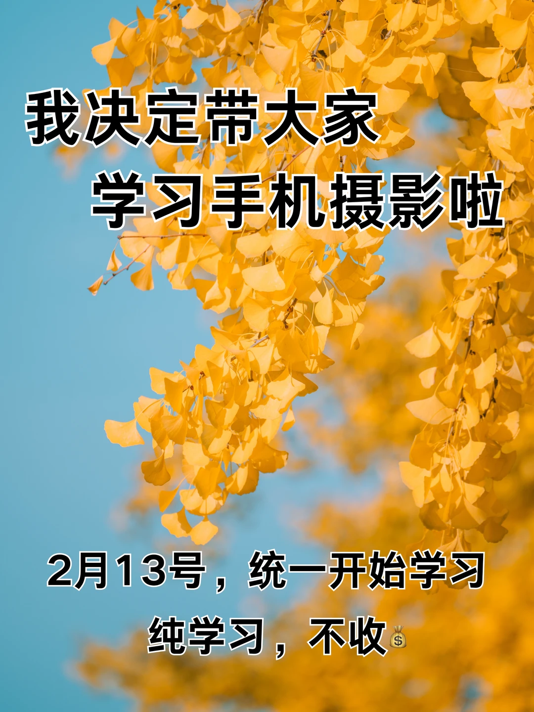 我决定带大家学习手机摄影啦！！