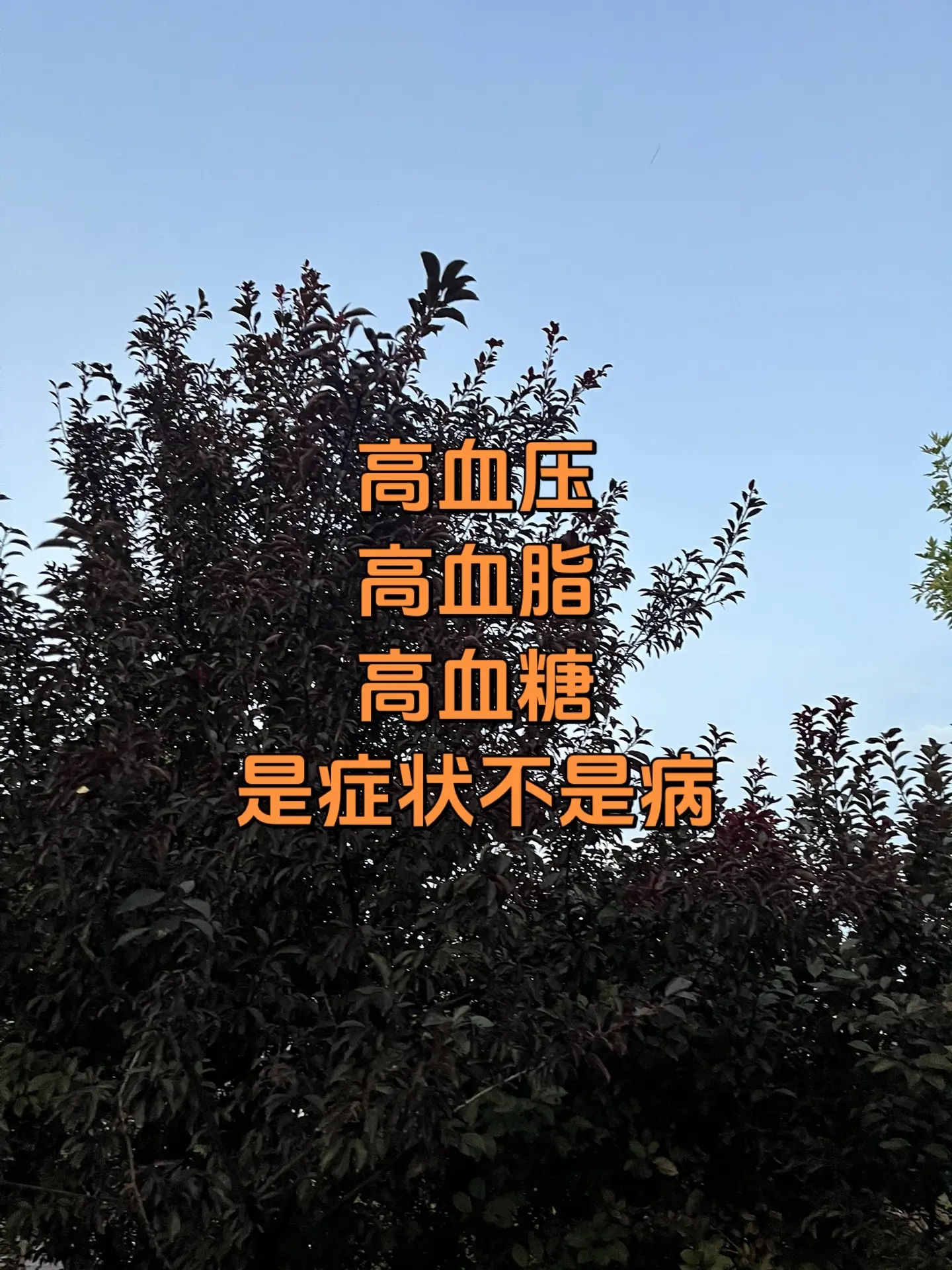 马刺还是太年轻了，关键失误&amp;绝杀不中，马刺主场再负尼克斯#文班亚马#文班亚马错失绝杀#尼克斯105比104险胜马刺#倪海厦#尼克斯105比104险胜马刺