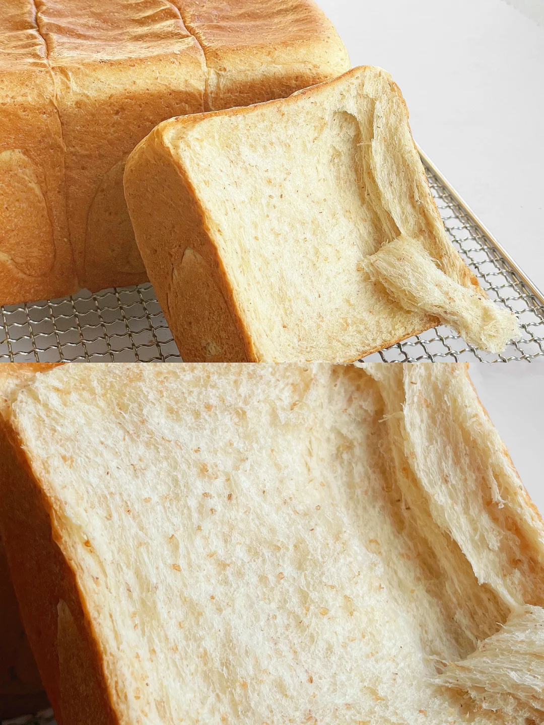 蜂蜜牛乳全麦吐司｜巨好吃的全麦吐司配方‼️