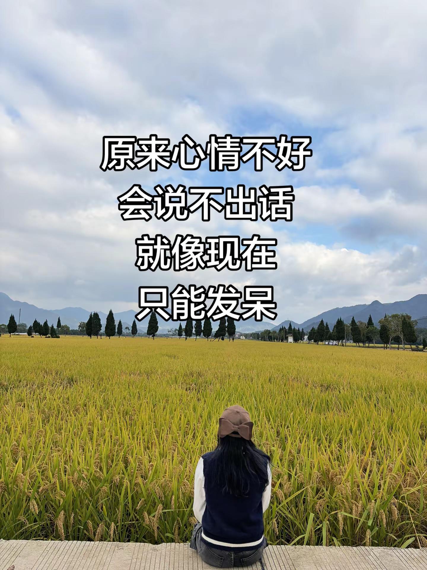 <p>情感共鸣 <!--{img:0}--></p><img src=...