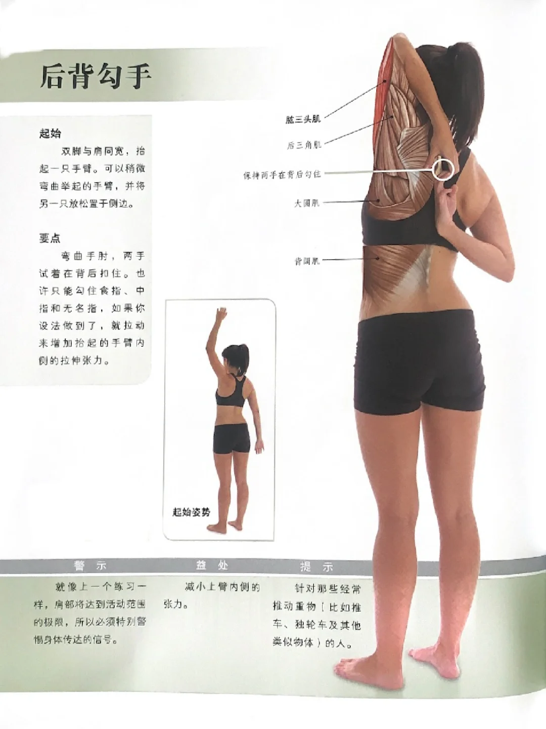 徒手拉伸肱三头肌，改善肌肉酸痛