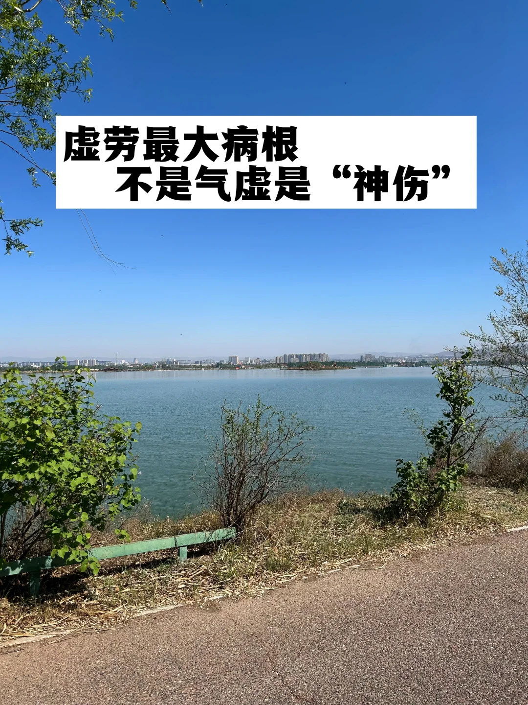 虚劳最大的病根，不是气虚是“神伤”