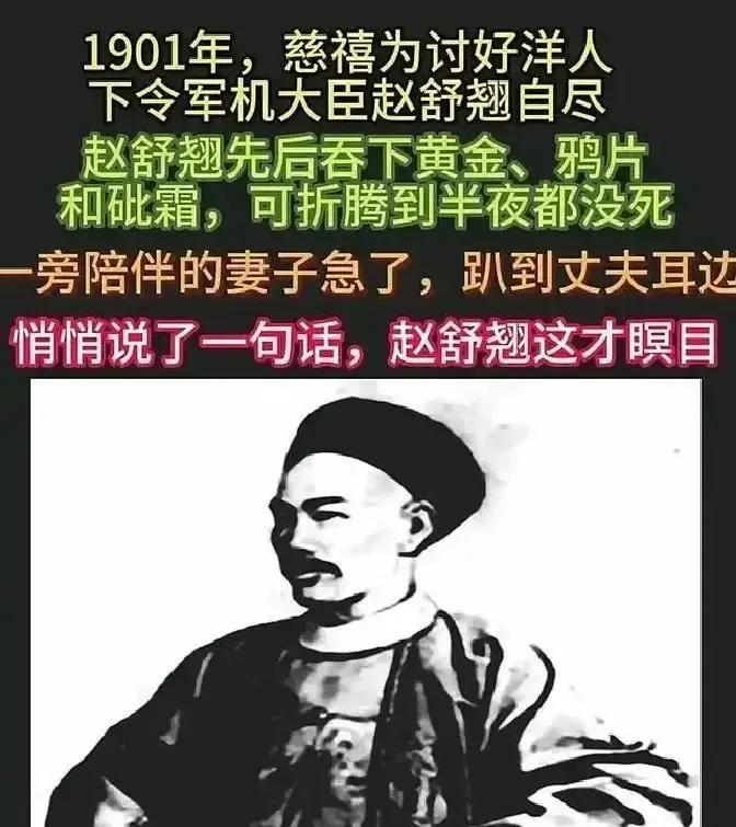 1901年，慈禧为了取悦洋人，命令军机处大臣赵舒翘自杀。上午八点，赵舒翘接连吃了金子、鸦片、砒霜，却一直熬到了午夜都仍未死去。
赵舒翘躺在自家炕上，身体内部的剧痛像潮水一样时涨时退。他知道太后为何要他死——庚子国变后，列强把他列为“祸首”之一，慈禧需要用人命来换取洋人的宽宥。作为主掌刑部的军机大臣，