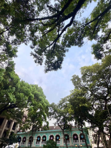 又来打卡著名沙面景点 爱心树一棵 小不知道什么鸟在水里一只 经典机位一...