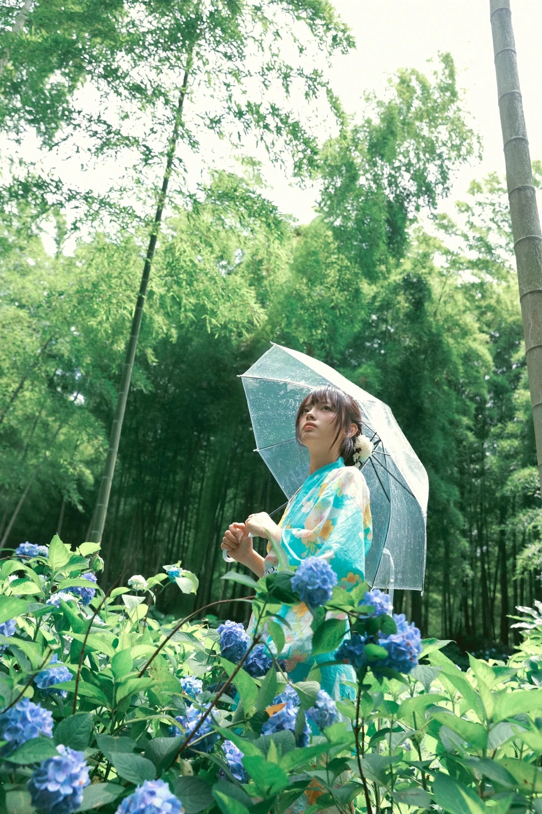 再没有一个雨季像这样