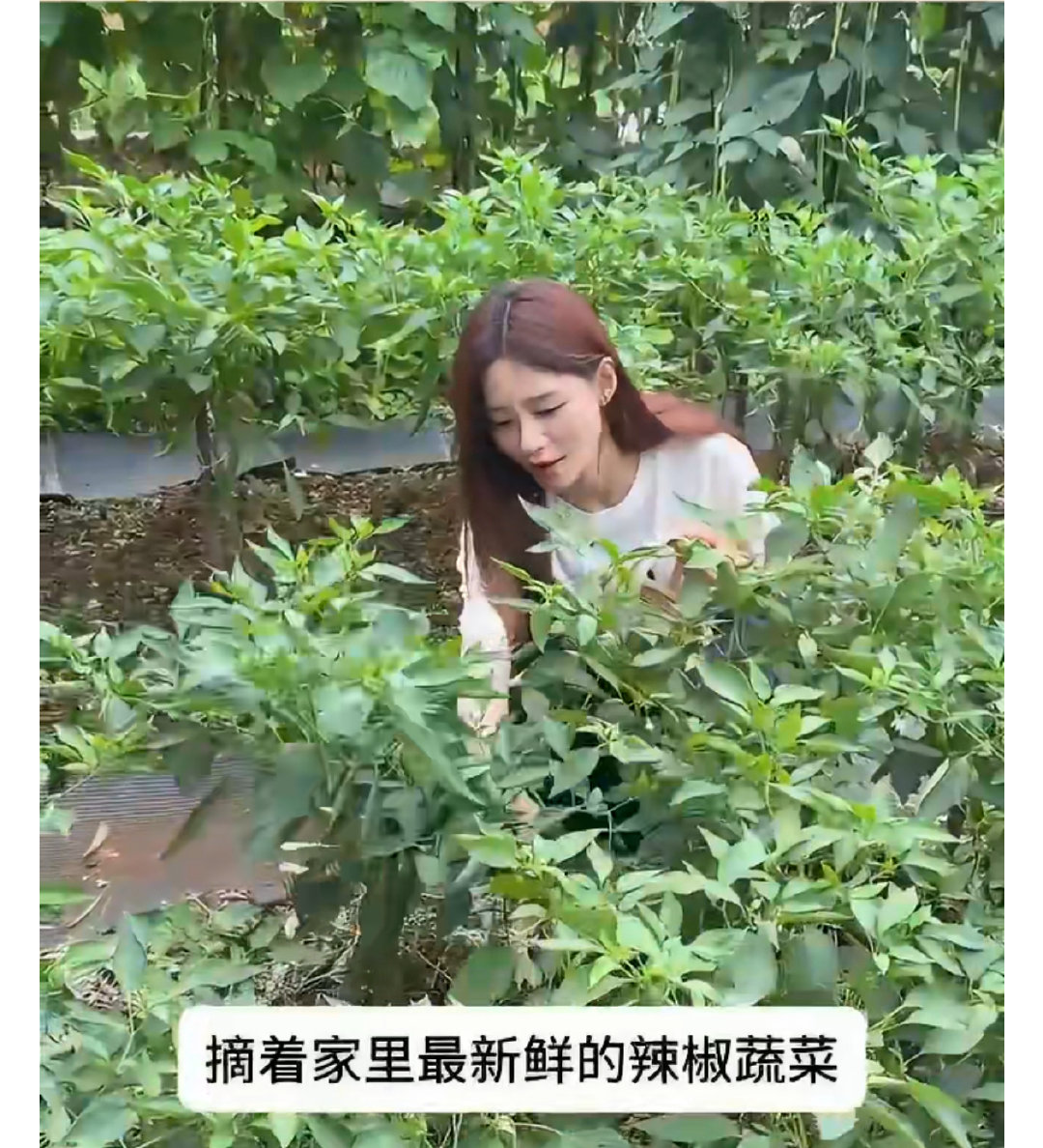 #七夕杜海涛糖量超标##杜海涛瘦了这么多吗# 
是不是上了年纪，就会喜欢“烟火气就是最好的浪漫”这句话[嘻嘻][嘻嘻] ​