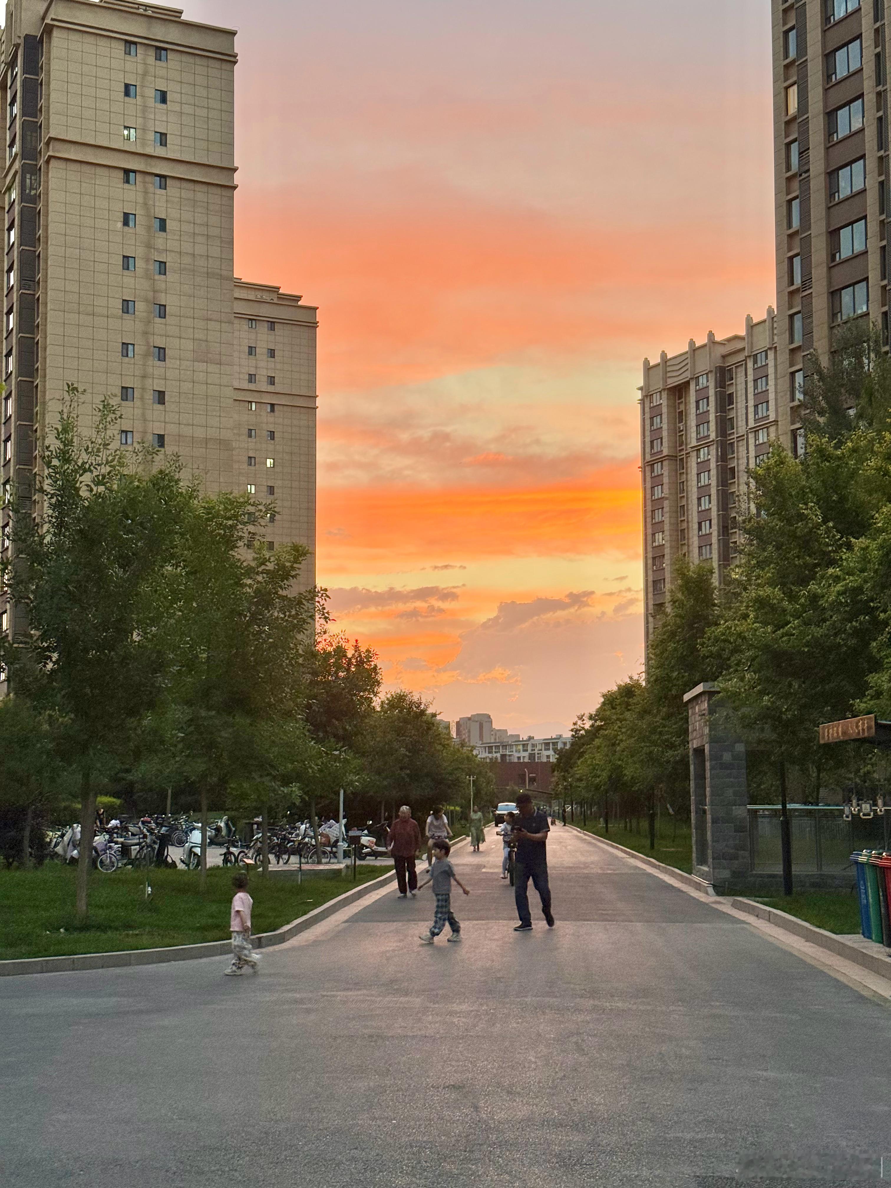 银川的夏天美得毫不费力，最近的晚霞可真好看呀🌅  所有当下难熬的日子...