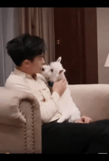 #许魏洲[超话]# 和猫猫狗狗的一些亲亲，🐶有时侯也亲他#许魏洲新剧自首真相# xwz#许魏洲电影逆锋# ​