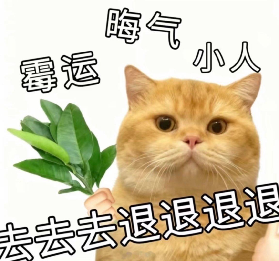 #于正回应网友猜林心如演朝玉阶# 
  网友纷纷猜测出演的时候，于正不仅一直没有回应相关评论，并且迅速回复其他演员猜测的评论；等到林心如本人辟谣之后，他才出来回应，这波时机真的耐人寻味[微笑][微笑] 

#林心如否认出演于正新剧# 
#经纪人否认林心如将拍于正的剧# ​