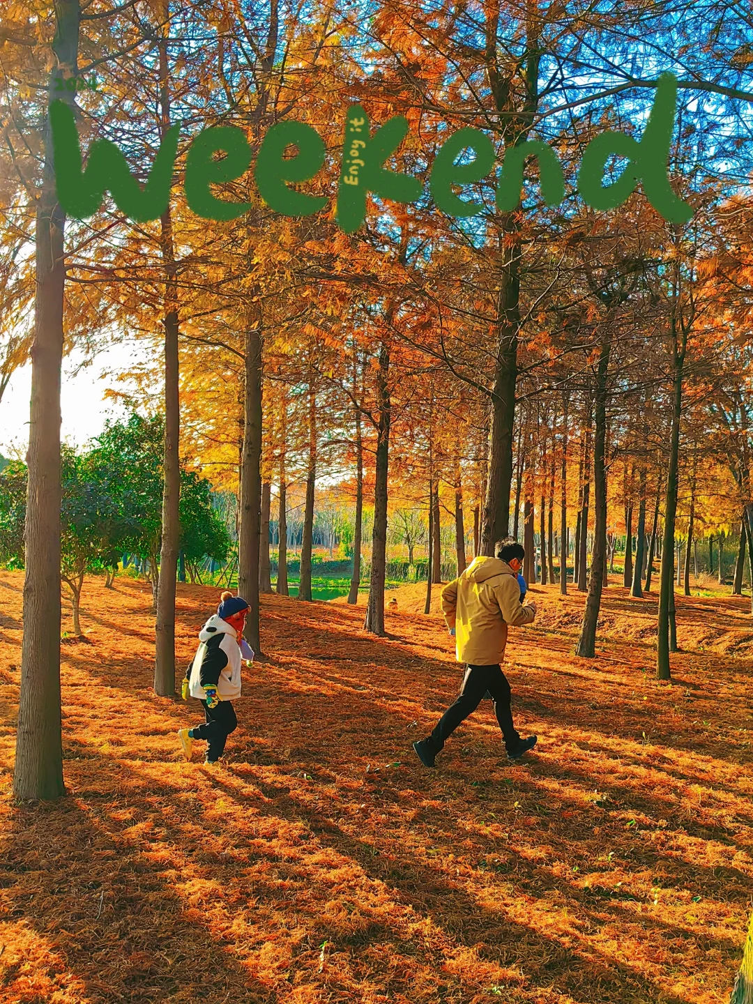 这样的秋天我能吹一辈子‼️