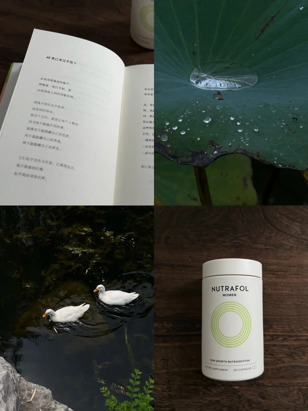 秋季，适合养发的好季节