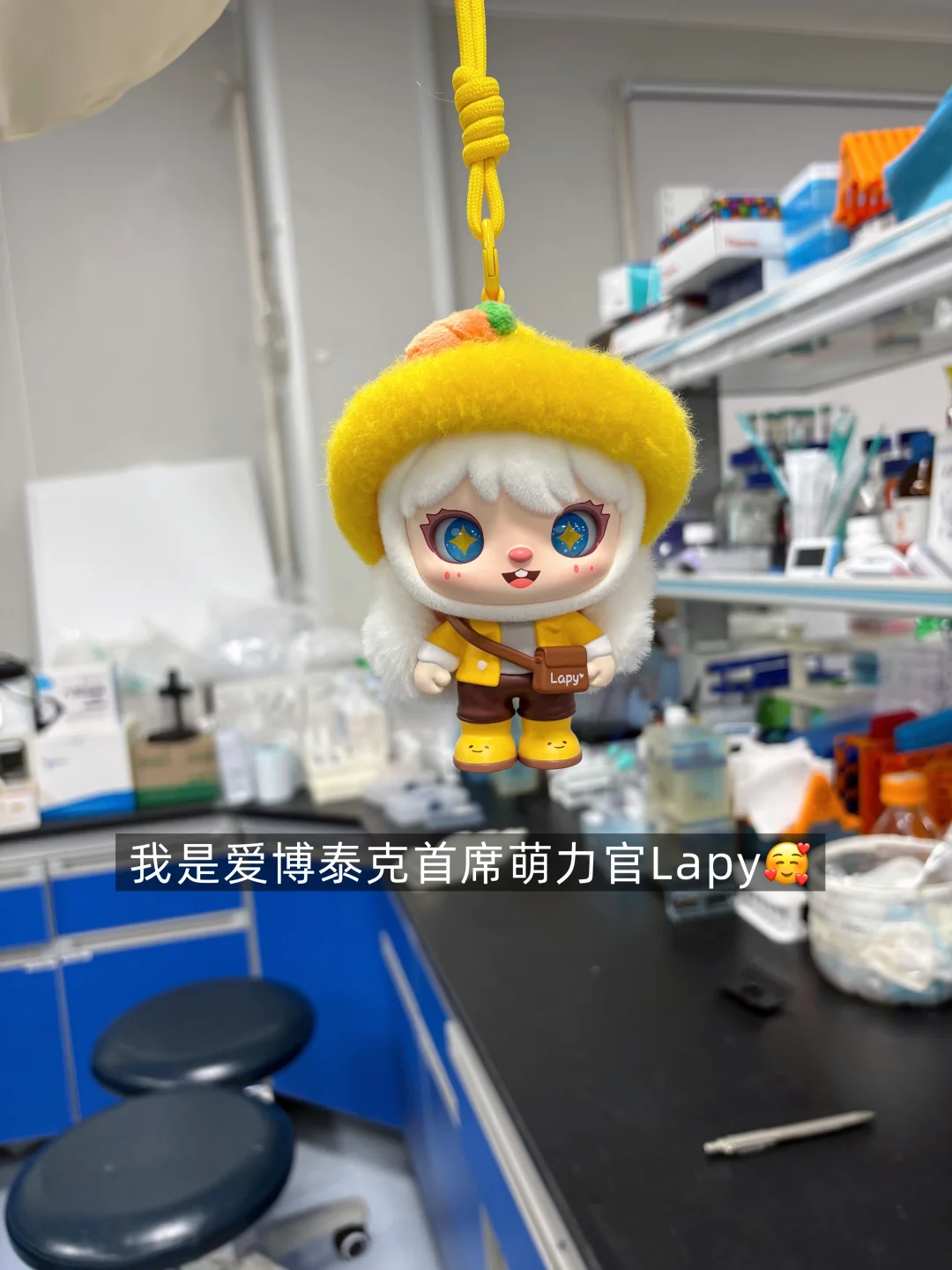 读博日常 | 今天的快乐是Lapy给的☺️