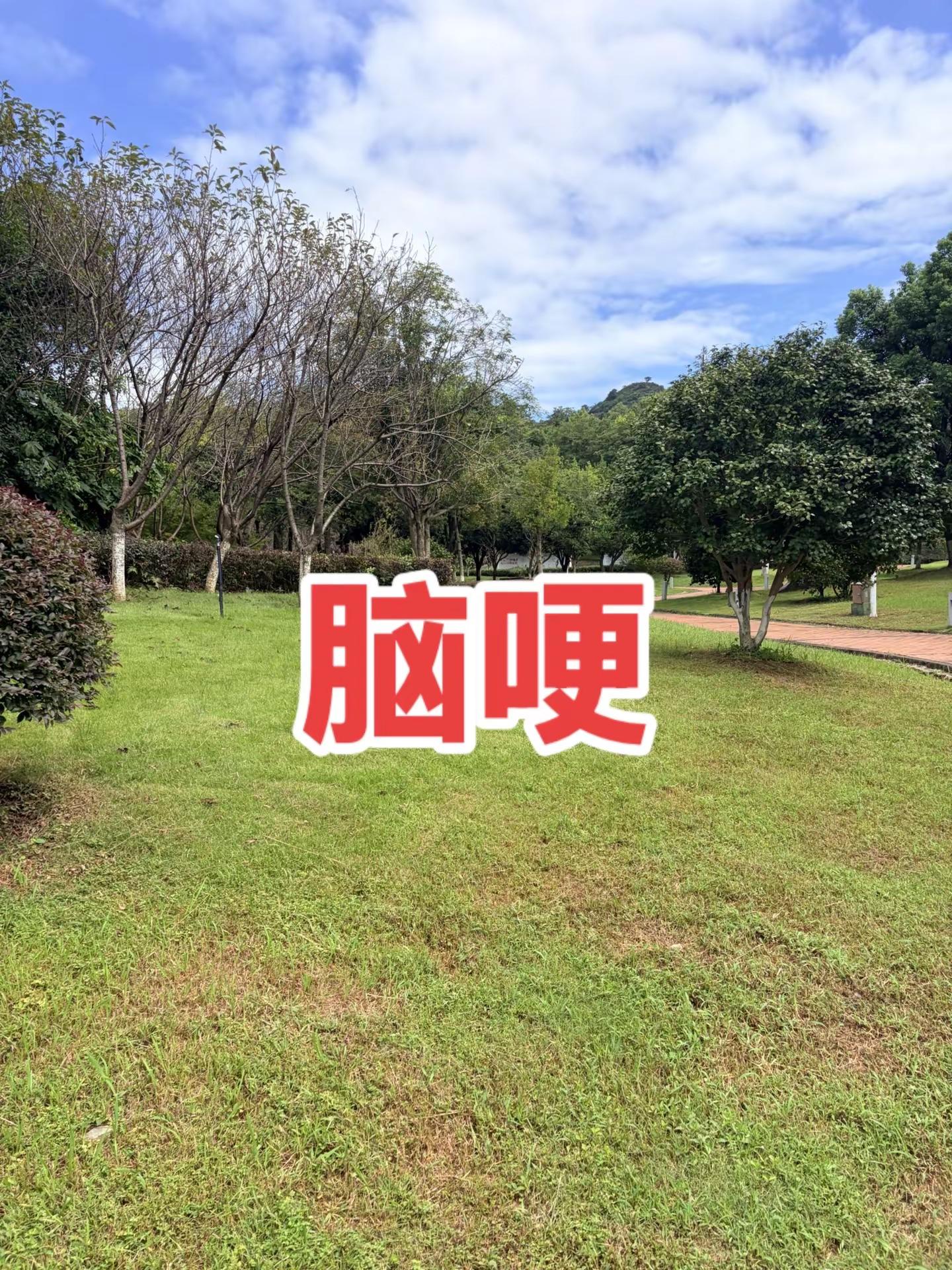 超一流防守大战！丁俊晖极限绝杀凯伦威尔逊，做球解球太精彩了 斯诺克 丁俊晖 精彩片段 防守