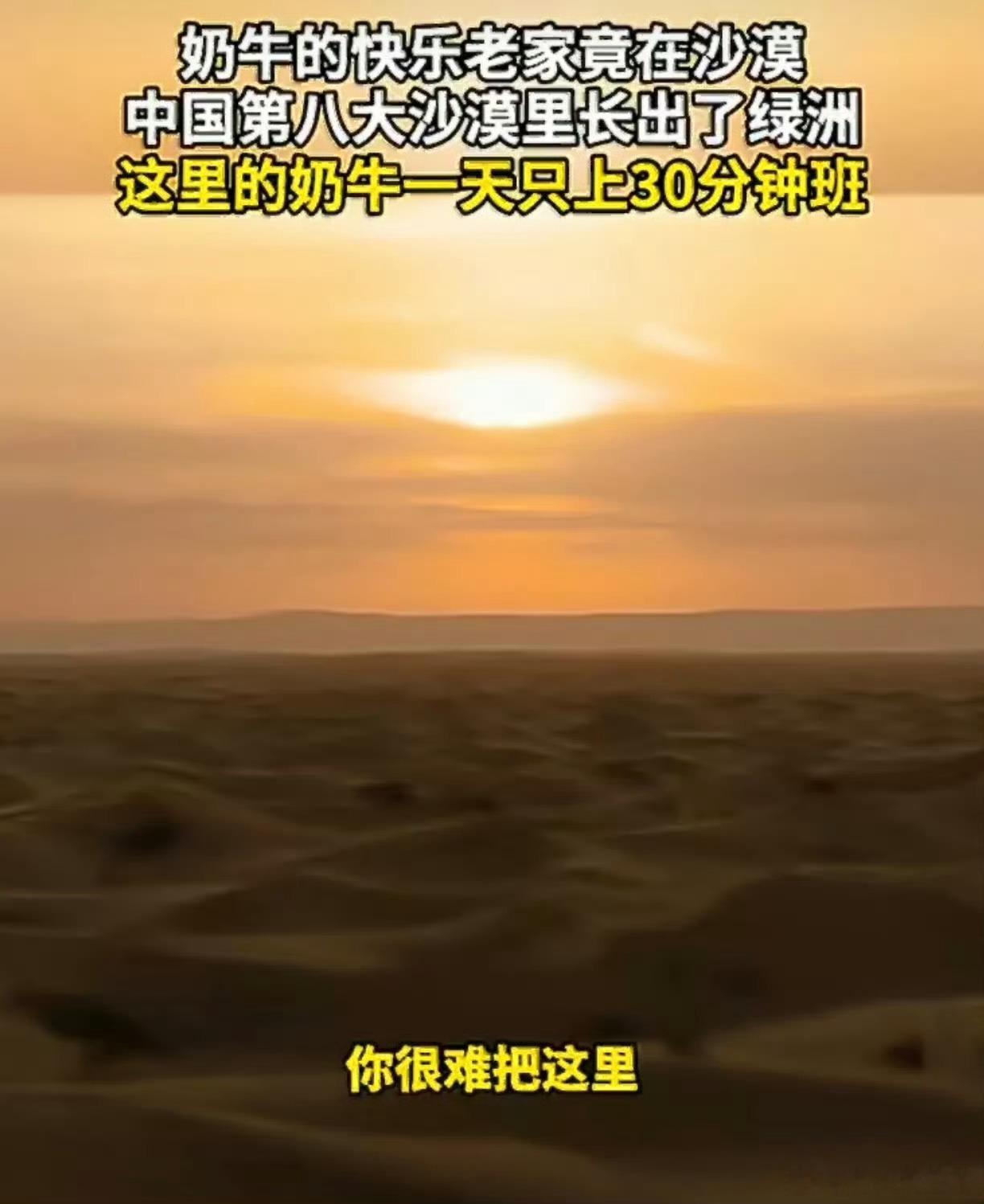 奶牛的快乐老家竟在沙漠有机奶粉终于卷配方了很难想象，乌兰布和沙漠经过多年治沙，蜕变成一片绿洲牧场，成为奶牛的“快乐老家”。这里天然隔离污染、日照充足，奶牛拥有充足活动空间，自在休憩觅食，纯净的沙漠有机奶源，为高品质奶粉筑牢源头根基。以往有机奶粉更多主打奶源天然，配方营养维度相对有限。如今赛道竞争升级，有机奶粉开始卷配方研发，不再只拼产地。品牌依托母乳研究成果，突破有机原料技术壁垒，添加有机母源MLCT、新型OPO等亲和营养，兼顾有机品质与吸收效率，贴合宝宝娇嫩肠胃，回应新生代父母精细化喂养需求。一边是荒漠变牧场的生态奇迹，实现治沙与产业双赢；一边是奶粉行业从拼奶源到拼配方、拼科研的转变。这代表乳业发展进入新阶段，生态价值与科研实力并重。对家长而言，选购奶粉，既要关注奶源环境，也需要理性看待配方，结合宝宝自身情况挑选，让好奶源和好配方真正服务于喂养需求。