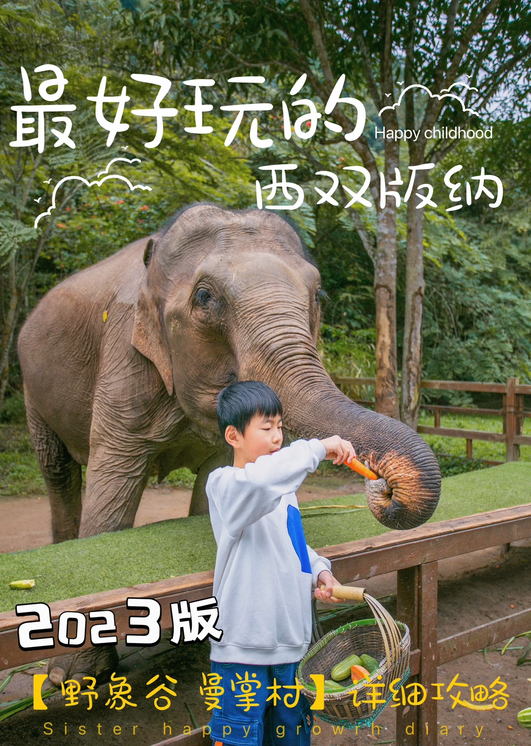西双版纳亲子游🐘详细的野象谷+曼掌村攻略