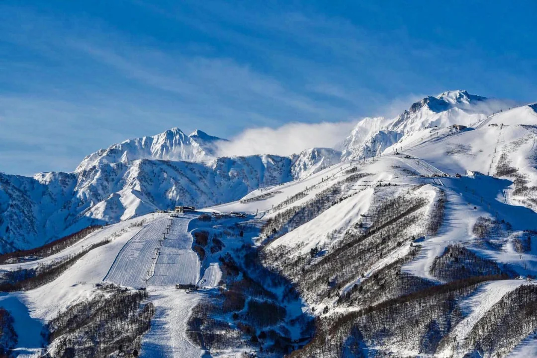 日本长野县|最爱的滑雪圣地没有之一