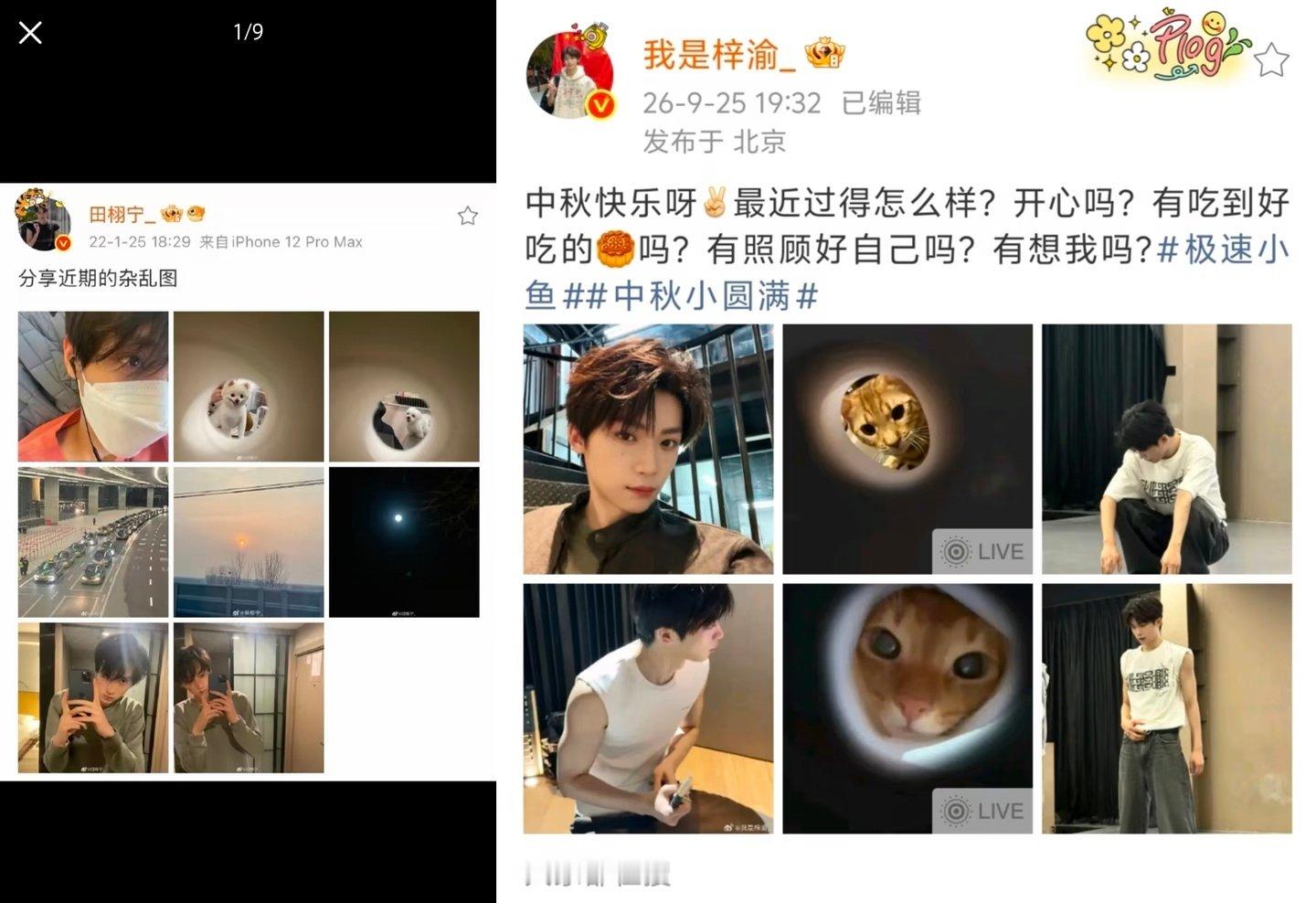 真晕糖了！！！
米米们今天被热暴力！！！
把中秋过成七夕你俩头一个！！
因为已经是家人了，才大秀特秀[来抱抱][来抱抱][来抱抱]
同款花写真、五仁月饼
花好月圆夜，情人成双对
给宠物的同款拍照姿势
我们才是真过节了！！！！！

#田栩宁梓渝粉丝真过节了# 
#田栩宁梓渝同款五仁月饼# ​