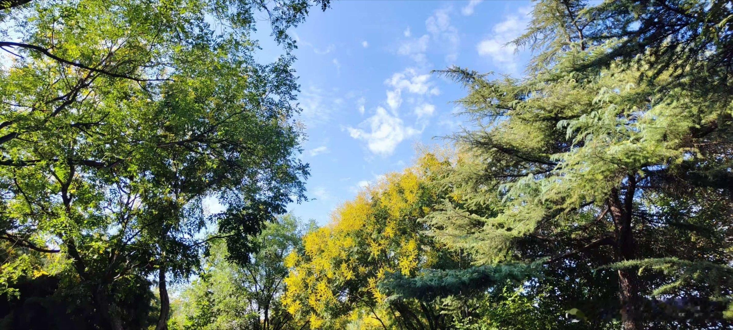 照见财富的幻象：论高维正念视域下个体主义分配观的破产与文明升维

人类文明对财富的想象，长期被困在一套低维叙事里：财富是孤立的原子，个体是独立的创造者，分配不过是给“贡献者”按劳付酬的数学游戏。这套个体主义财富分配理论，支撑了数百年市场经济的话语体系，也制造了贫富悬殊、内卷撕裂、公 ​