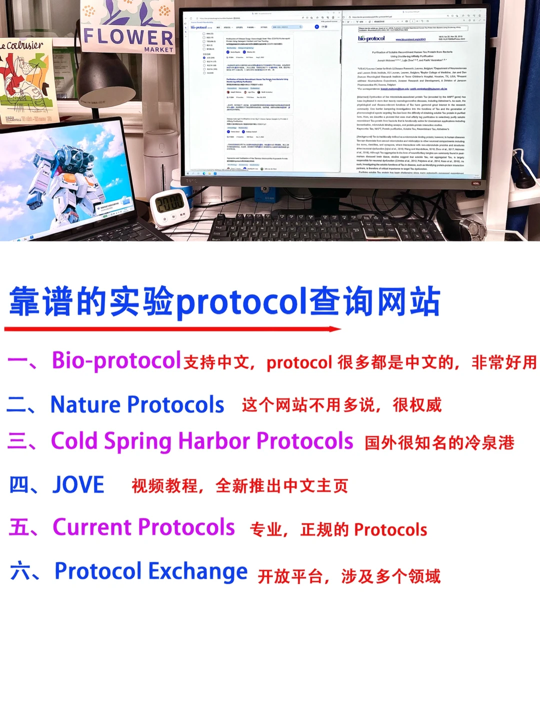 🔥科研大佬都在用的实验protocol 查询网站
