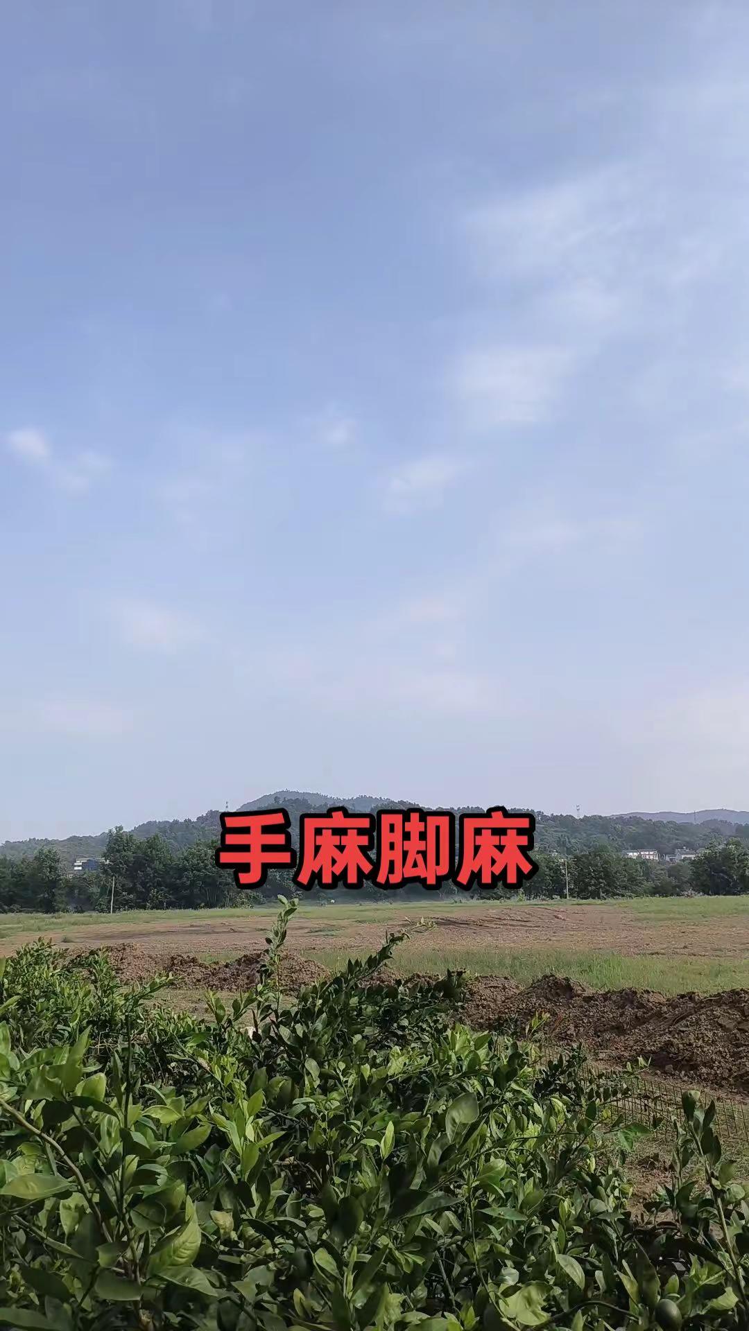 第二届
