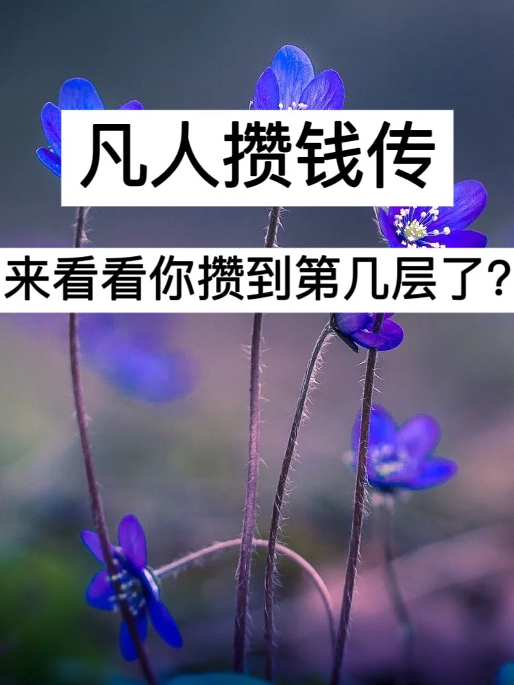 凡人攒钱传，来看看你攒到第几层了？