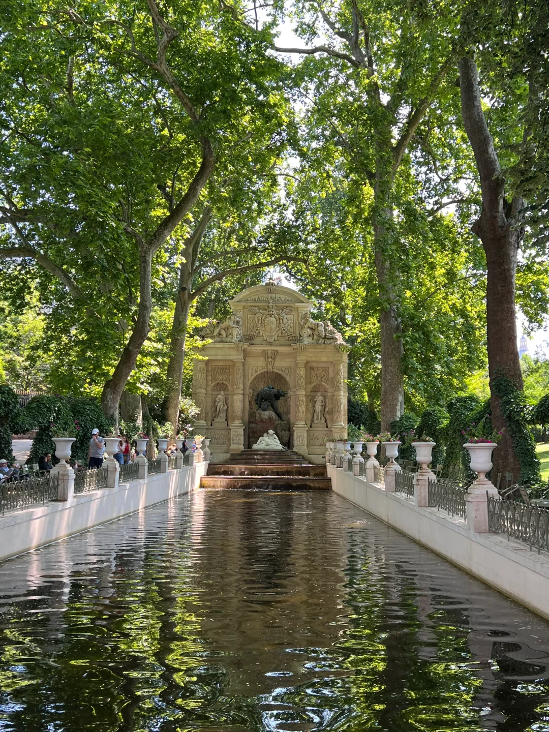 live图直出｜用一个下午感受巴黎超绝夏日🍃