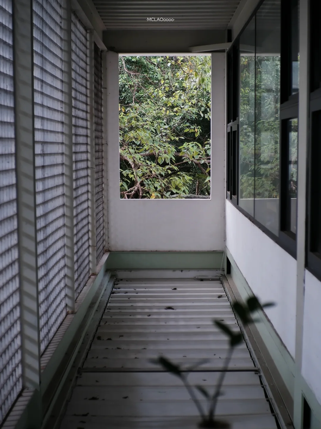 一人𝕒𝕣𝕥 🚶廣州兩個小眾展覽