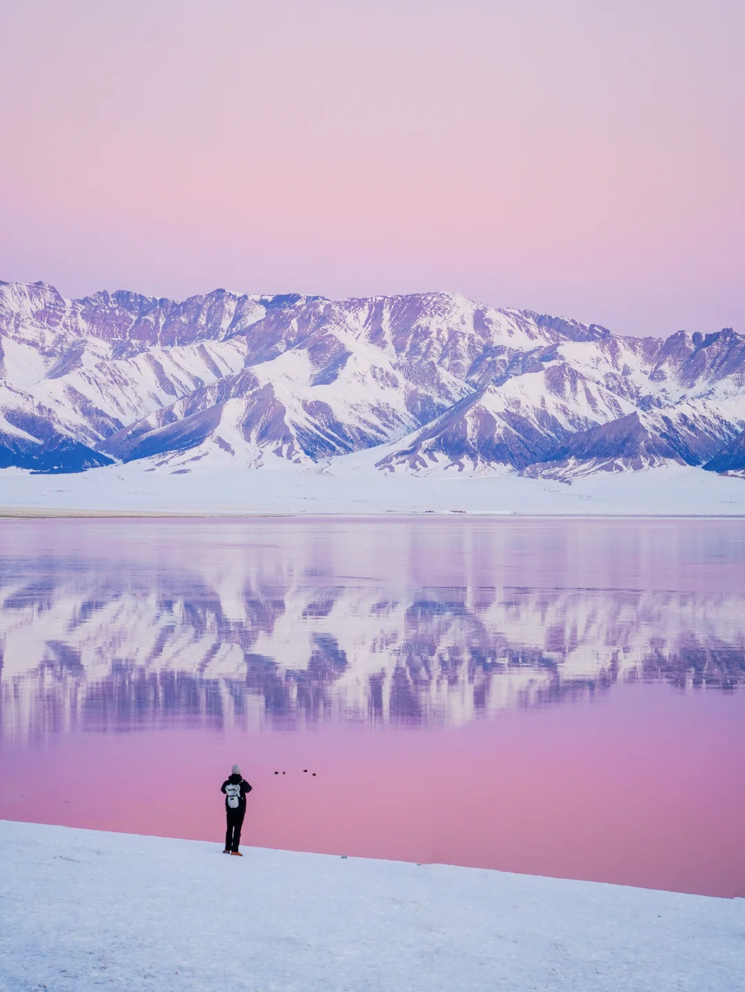 飞了3000公里，终于看到赛湖的粉色天空❗️