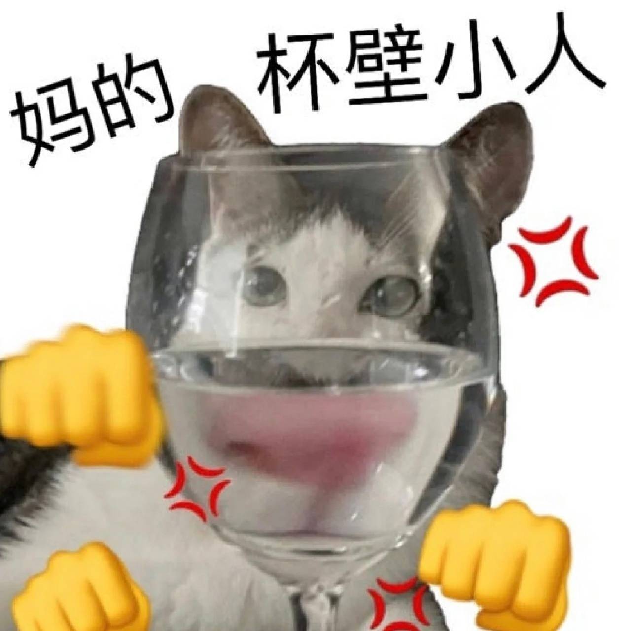 丰富一下你的表情包
