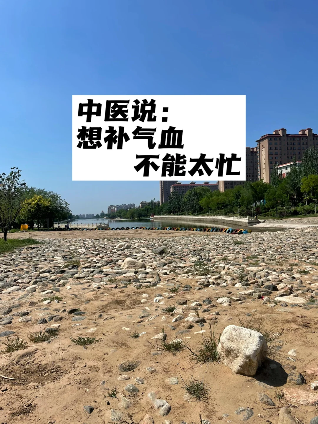 中医说：想补气血，不能太忙.