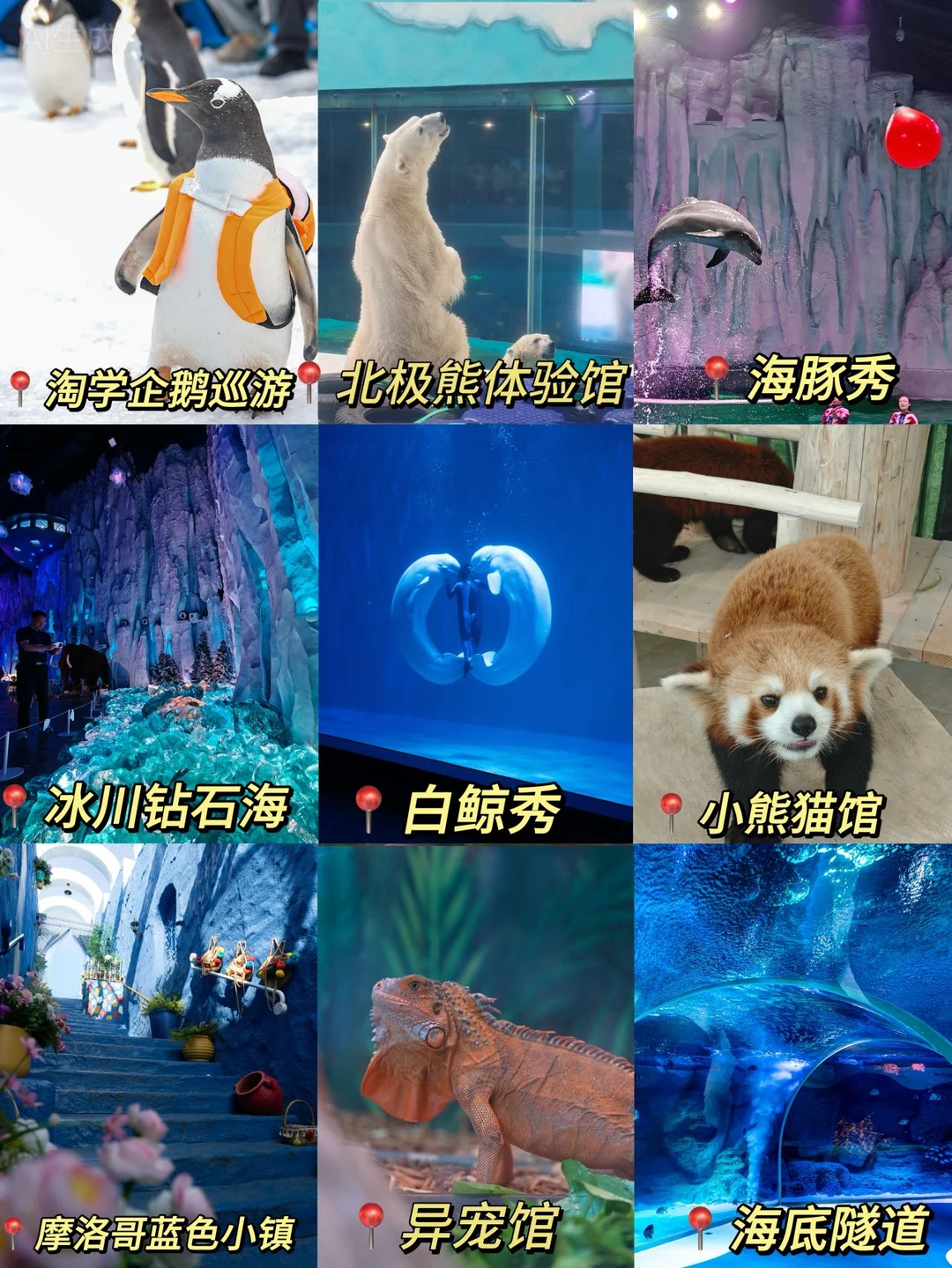 真没白来！哈尔滨极地乐园可以嗨玩一整天 🎡