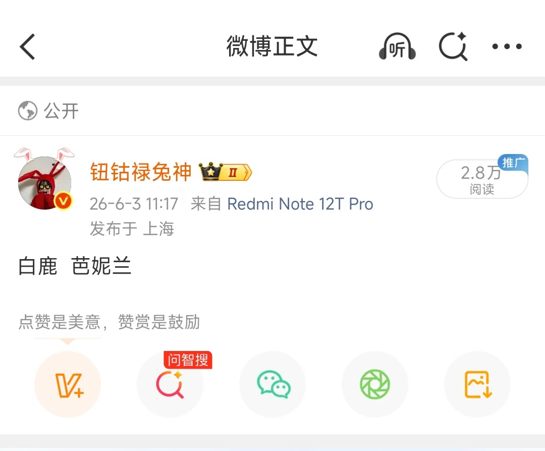 白鹿芭妮兰要来了