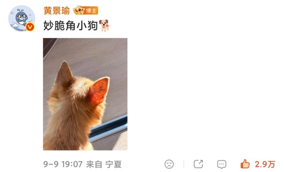 #黄景瑜[超话]# 妙脆角小狗🐕 #黄景瑜有好朋狗了# ​