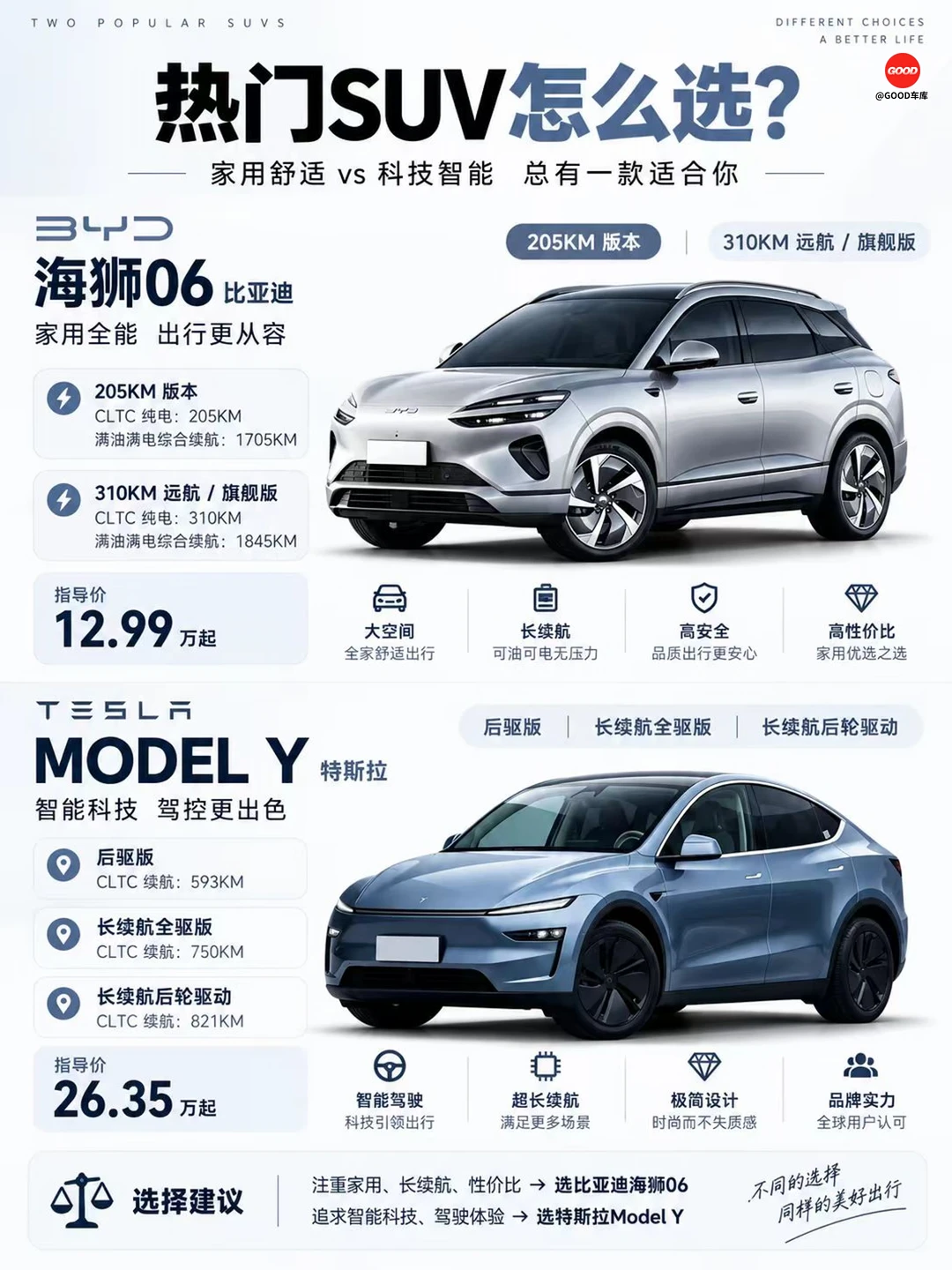 海狮 06 vs Model Y